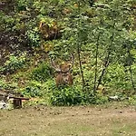 Hillfront 60 Apartman