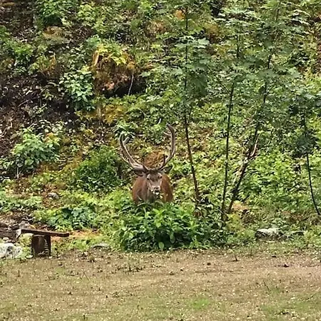 Hillfront 60 Apartamento